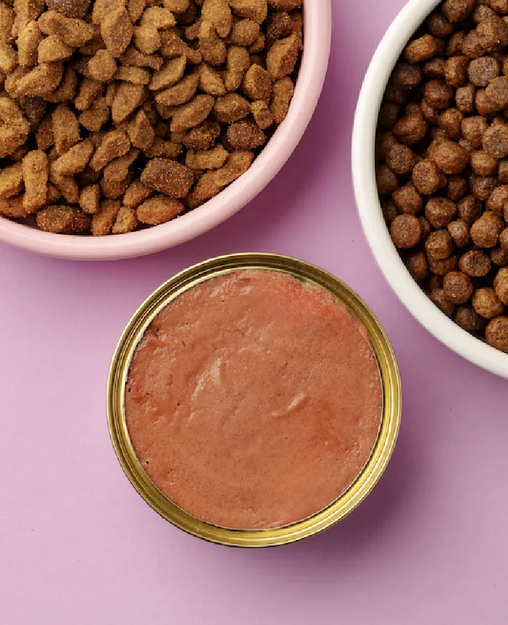 thai buddy-about-us-08