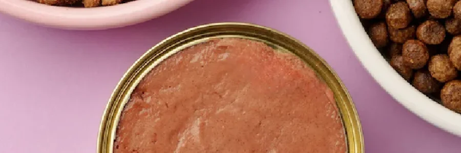 thai buddy-about-us-08